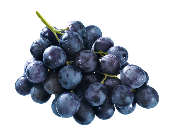 Trauben dunkel kernlos | Einzelprodukte | myFarmbox